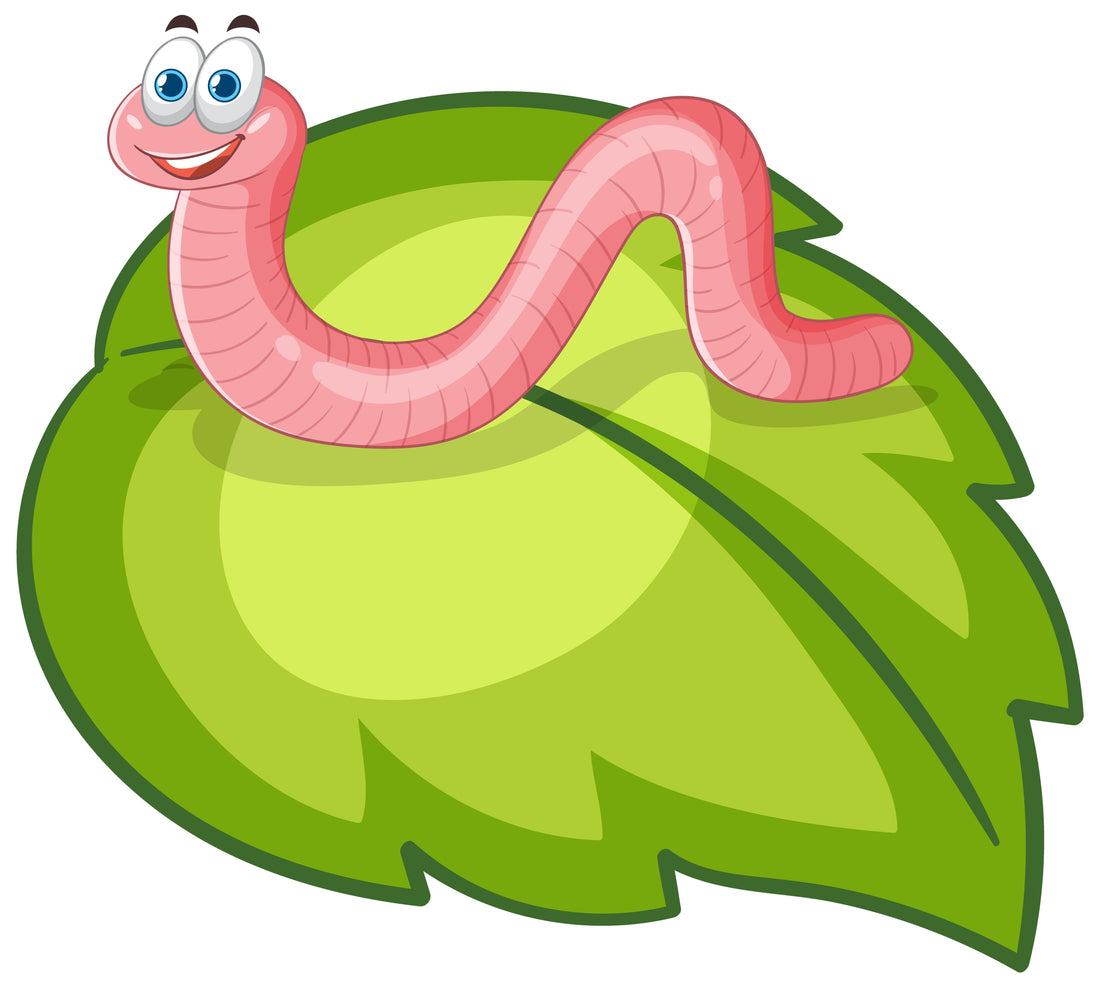 What Do Red Worms Eat? Scott’s Master Guide to Feeding Red Wiggler Worms