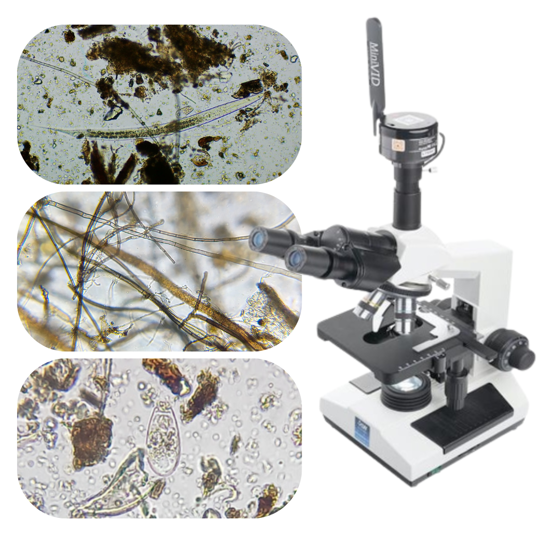 Microbiology Testing