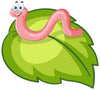 What Do Red Worms Eat? Scott’s Master Guide to Feeding Red Wiggler Worms