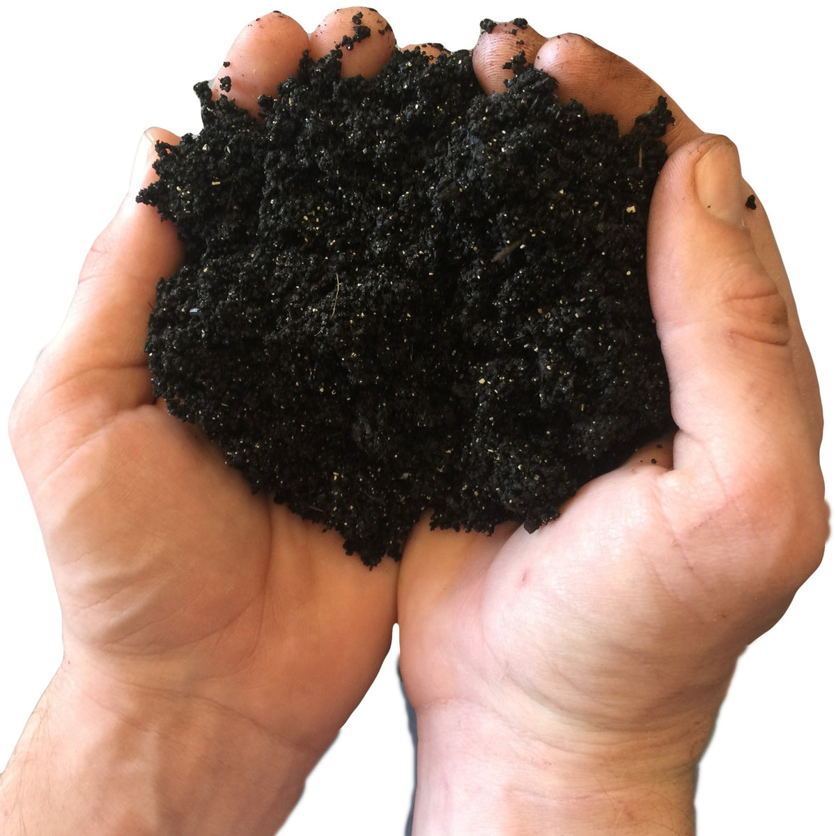 Fresh Harvested Worm Castings