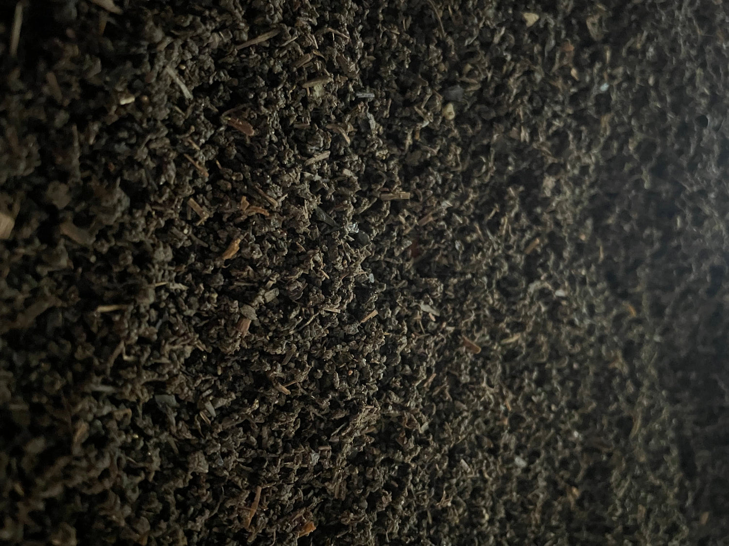 Close-up of worm castings