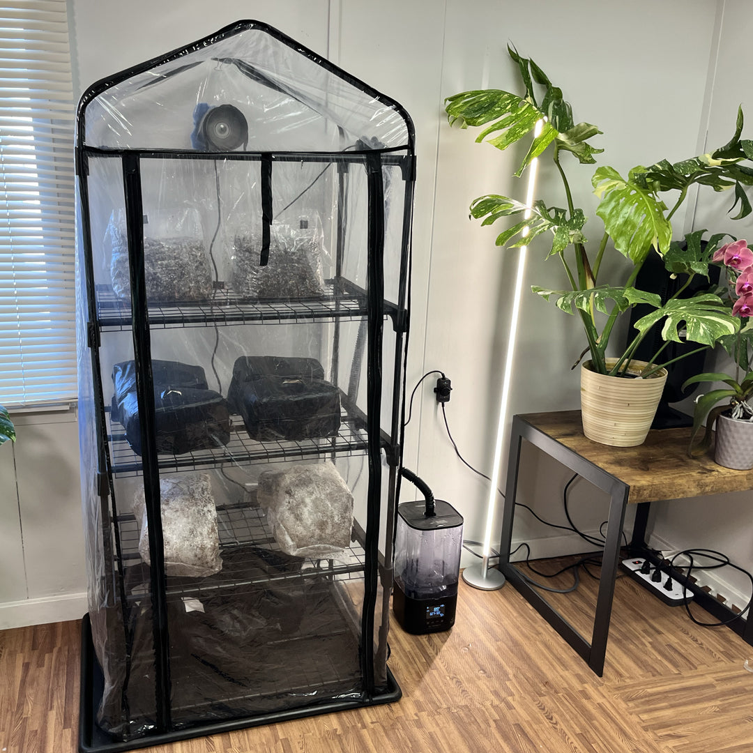 ShroomRoom Automated Mushroom Tent Bundle