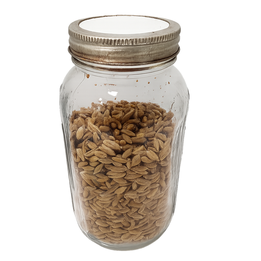 Sterilized grain spawn in jar