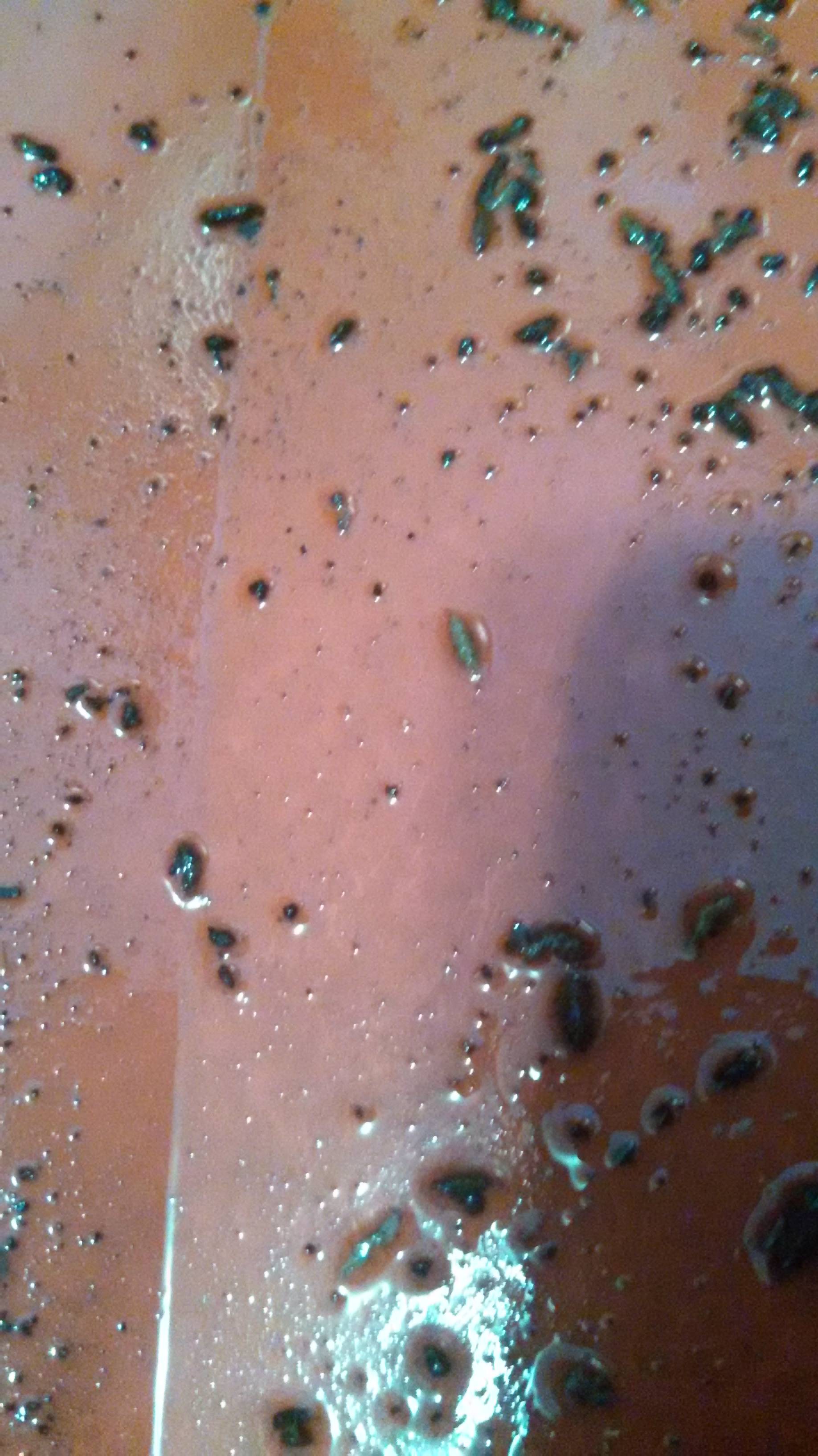 Worm Castings in Bottom Tray