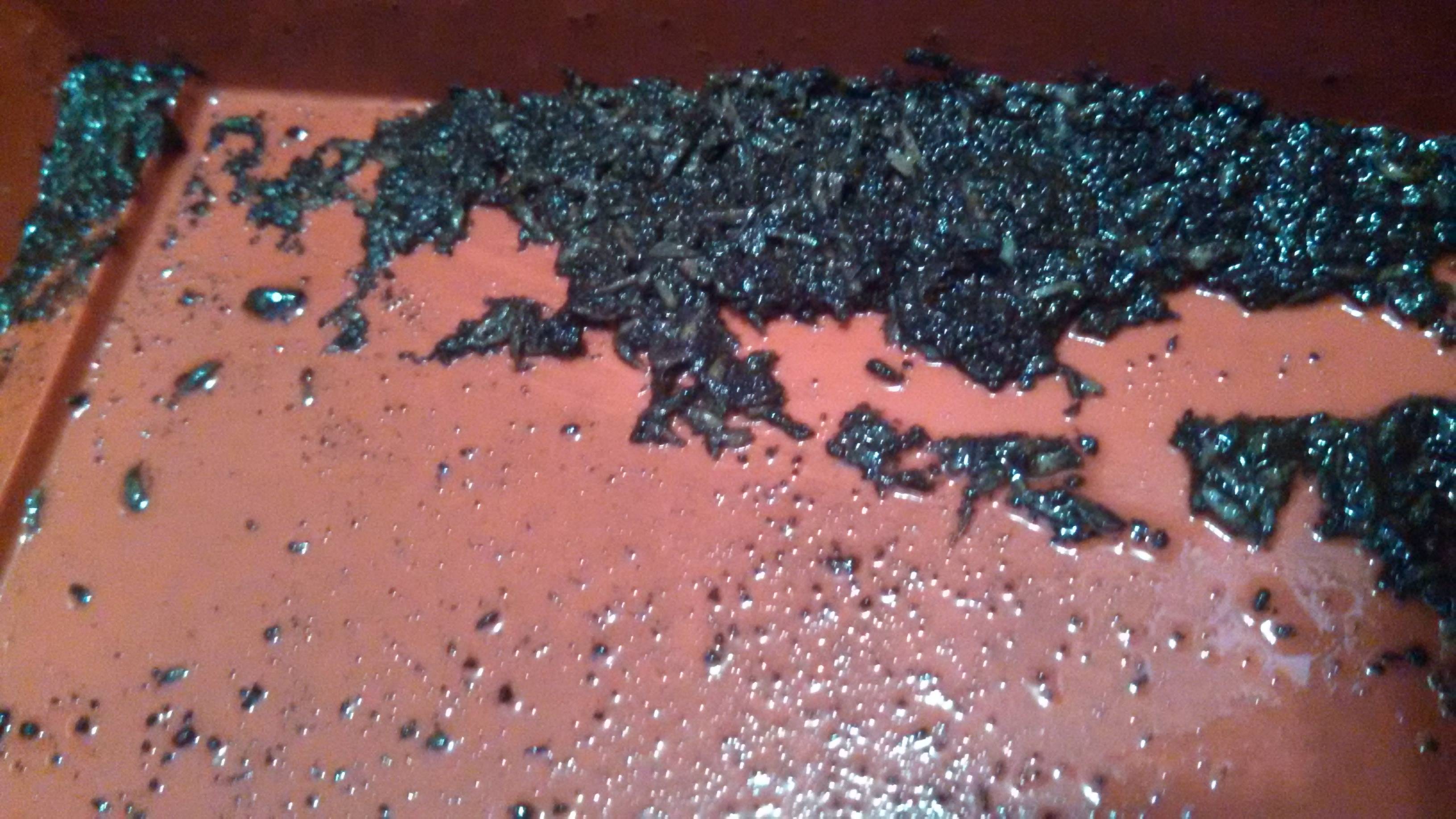 Worm Castings in Bottom Tray